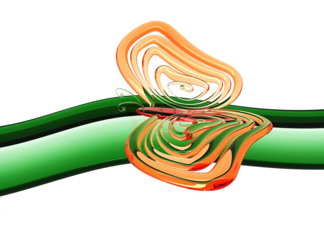 Colorful butterfly green branch vibrant free wallpaper - medium preview image
