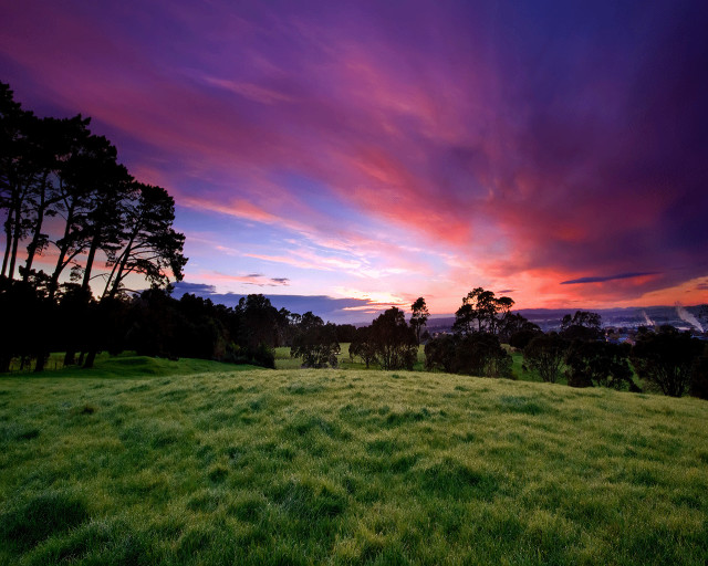 Field sunset trees background nature free wallpaper - medium preview image