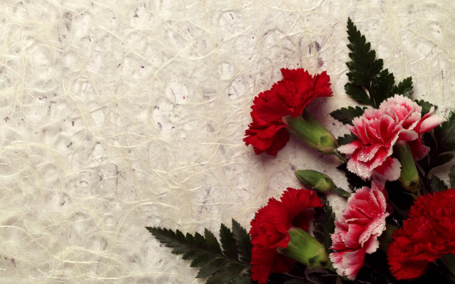 Red pink flowers white surface #2 free wallpaper - medium preview image