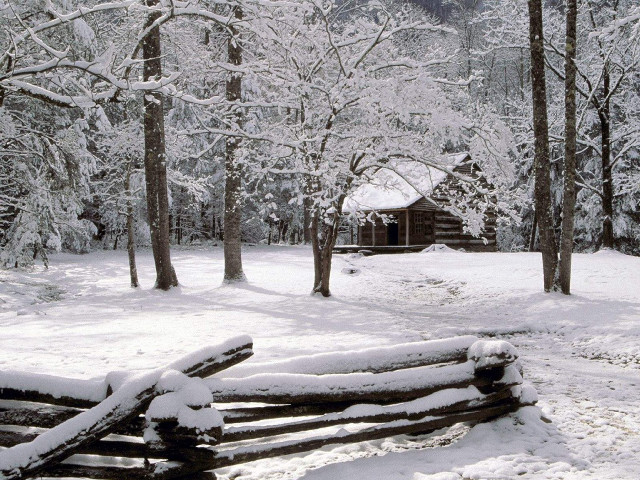 Log fence snow cabin trees free wallpaper - medium preview image