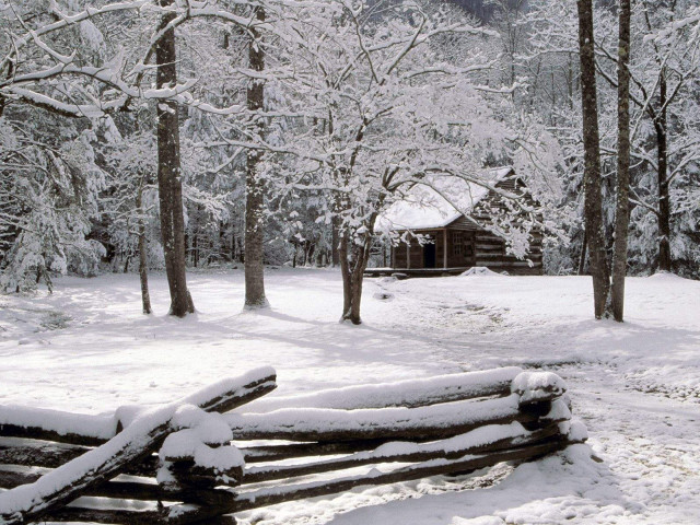 Log cabin woods snow trees free wallpaper - medium preview image