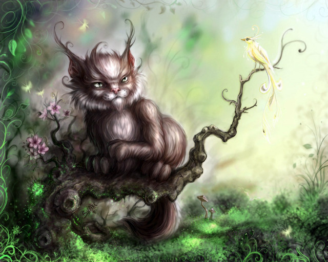 Cat sitting tree branch bird free wallpaper - medium preview image