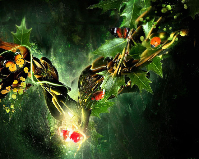 Holly leaves berries light dark free wallpaper - medium preview image