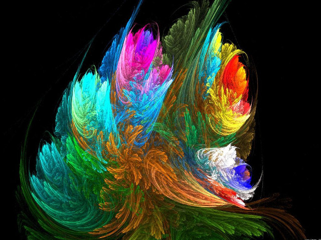 Colorful abstract feathers black background free wallpaper - medium preview image