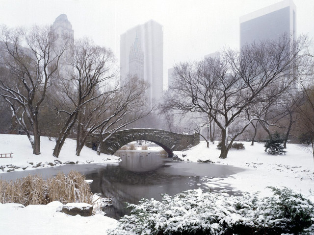 Bridge pond snow park tall free wallpaper - medium preview image