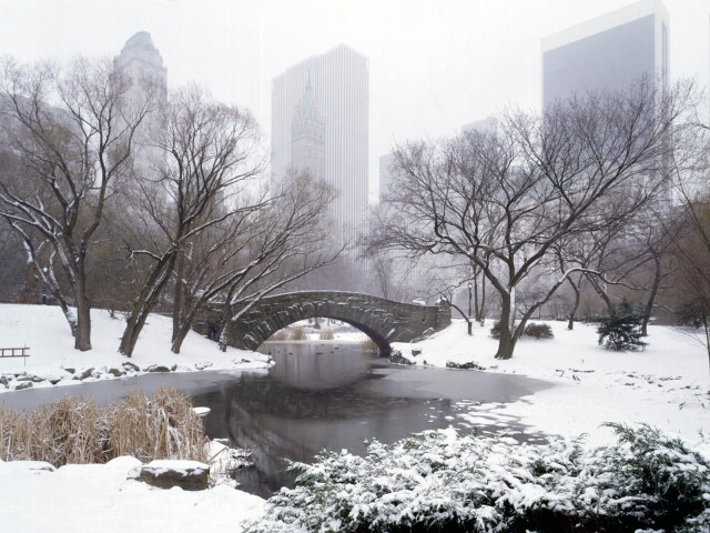 Bridge pond snow park buildings #2 free wallpaper - medium preview image