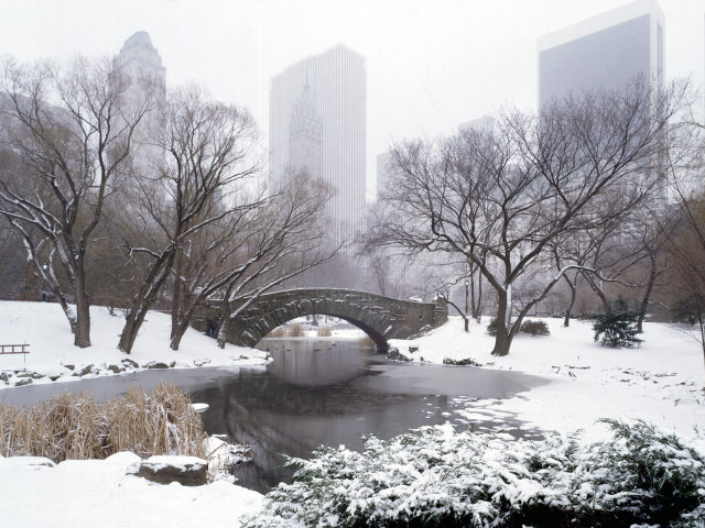 Bridge pond snow park tall #2 free wallpaper - medium preview image