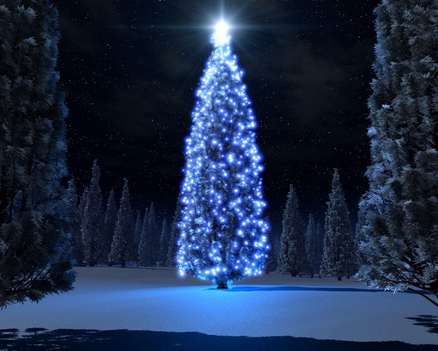 Large christmas tree lit snow free wallpaper - medium preview image