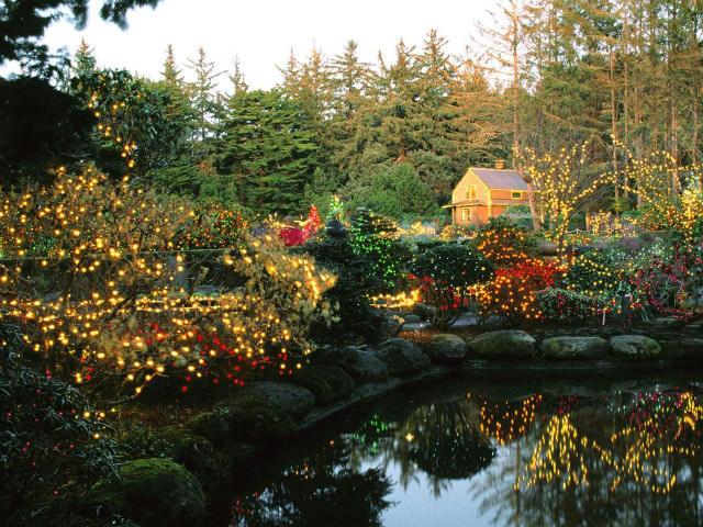Pond trees lights house autumn free wallpaper - medium preview image