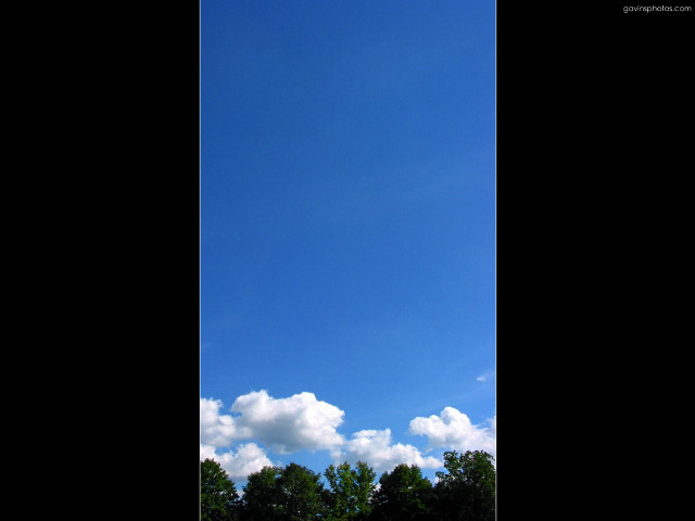 Large kite flying sky trees free wallpaper - medium preview image