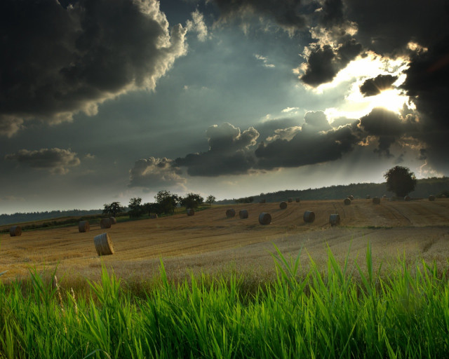 Hay bales cloudy sky sun free wallpaper - medium preview image