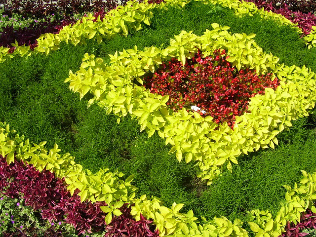 Circular flower arrangement garden green free wallpaper - medium preview image