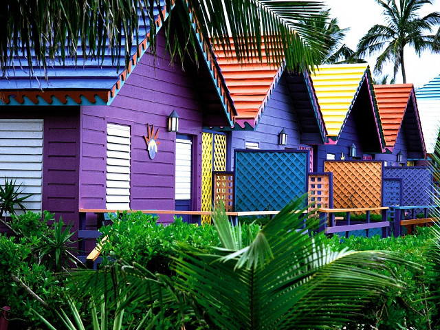 Colorful houses palm trees blue #2 free wallpaper - medium preview image