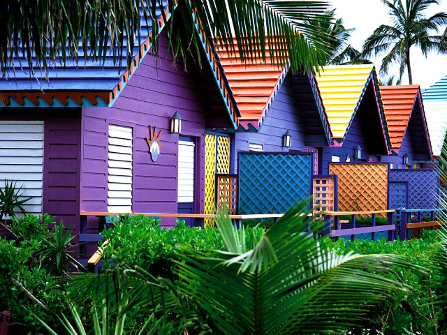 Colorful houses palm trees blue #4 free wallpaper - medium preview image
