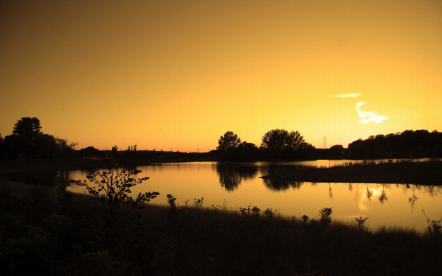 Sunset lake trees bushes yellow #3 free wallpaper - medium preview image