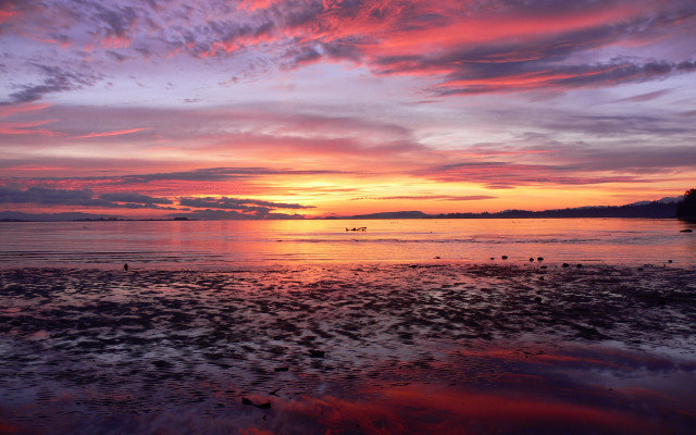 Sunset boat pink sky beach #5 free wallpaper - medium preview image