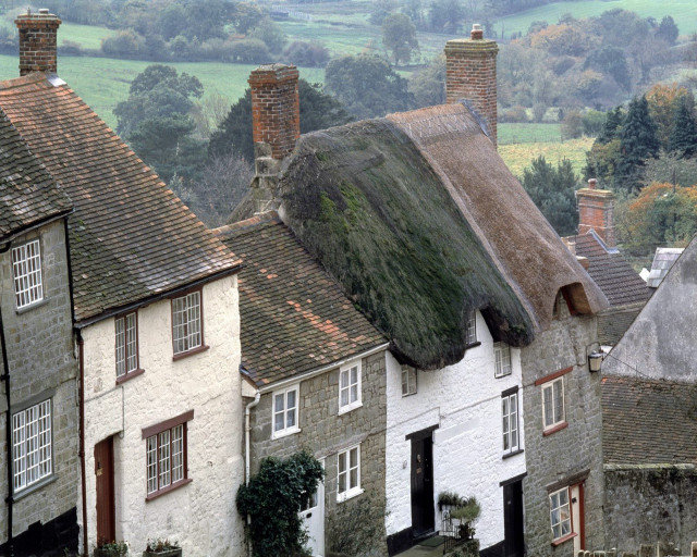 Green roof houses tilt shift #3 free wallpaper - medium preview image