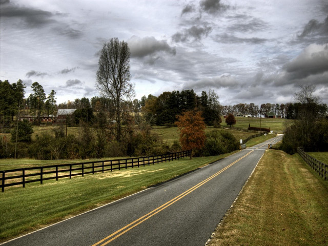 Road fence field trees grass #6 free wallpaper - medium preview image