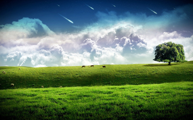 Green field tree clouds sheep #2 free wallpaper - medium preview image