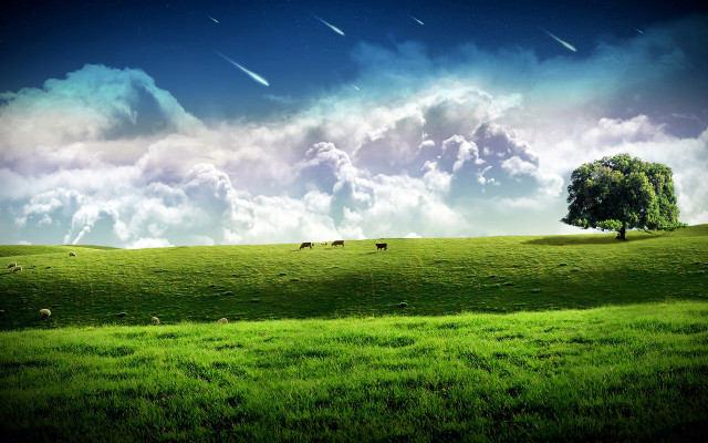 Green field tree clouds sheep #3 free wallpaper - medium preview image