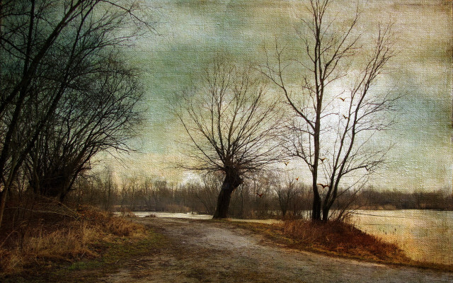 Dirt road trees water distance free wallpaper - medium preview image