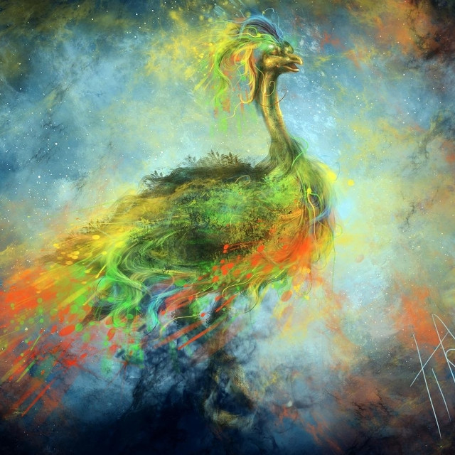 Peacock colorful background blue sky free wallpaper - medium preview image