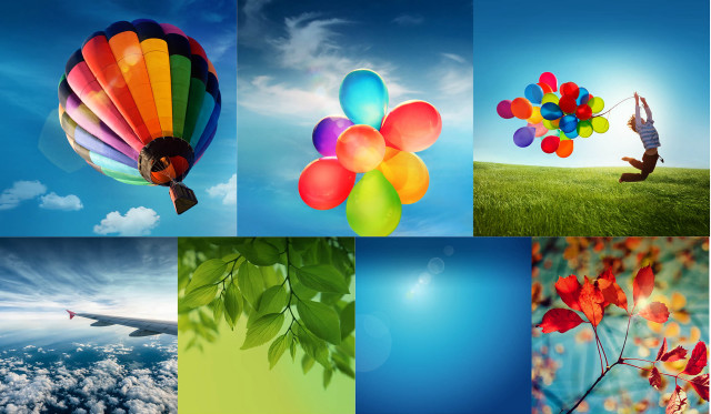 Balloons tree person air holding free wallpaper - medium preview image