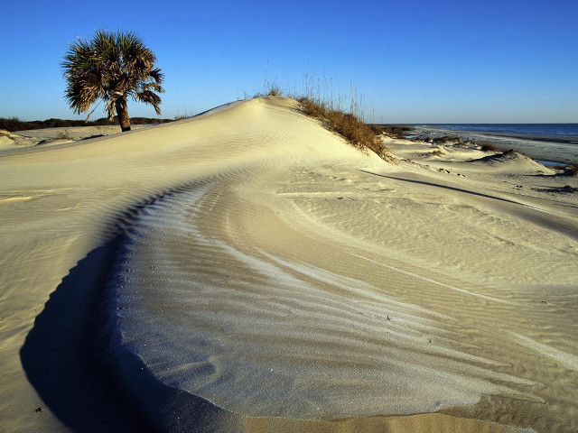Palm beach sand ocean sky free wallpaper - medium preview image