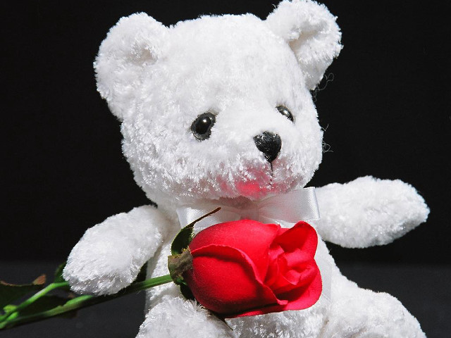 White teddy bear red rose free wallpaper - medium preview image