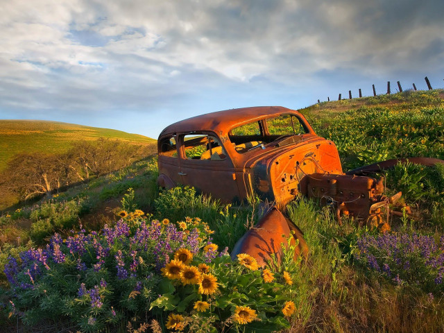 Rusty car field flowers fence #4 free wallpaper - medium preview image