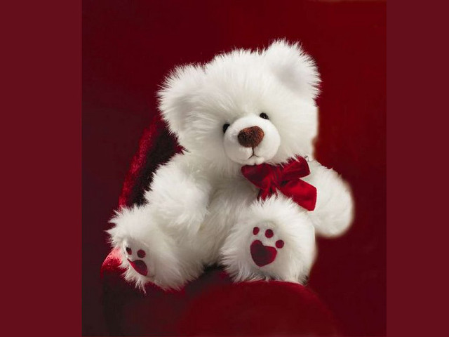 White teddy bear red bowtie free wallpaper - medium preview image