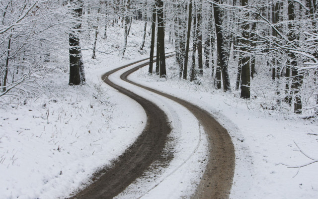 Snow covered road forest winter free wallpaper - medium preview image
