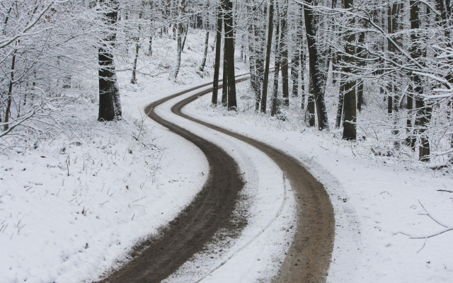 Snow covered road forest trees free wallpaper - medium preview image
