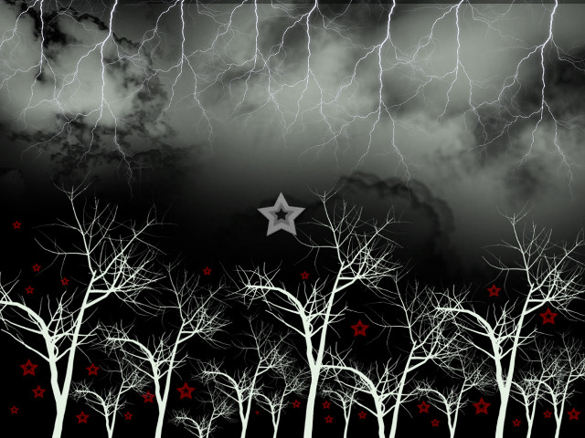 Star dark sky trees foreground free wallpaper - medium preview image