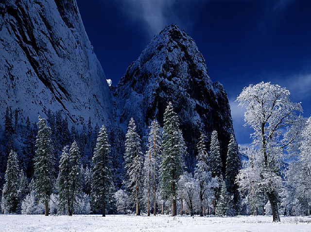 Snowy landscape trees mountains blue #2 free wallpaper - medium preview image