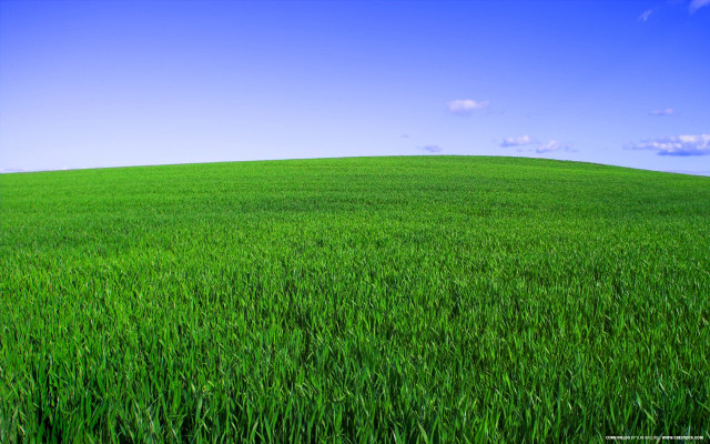 Green grass blue sky clouds #15 free wallpaper - medium preview image