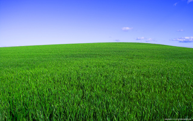 Green grass blue sky clouds #8 free wallpaper - medium preview image