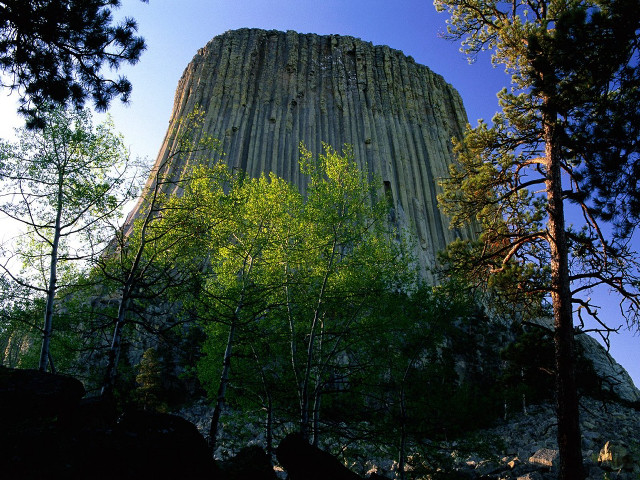 Tall rock tower forest trees free wallpaper - medium preview image