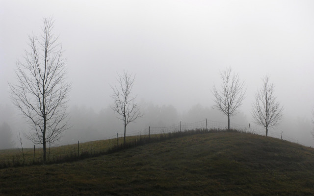Grassy hill trees fog fence free wallpaper - medium preview image