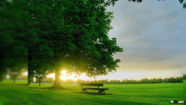Park bench tree sunset grass free wallpaper - medium preview image
