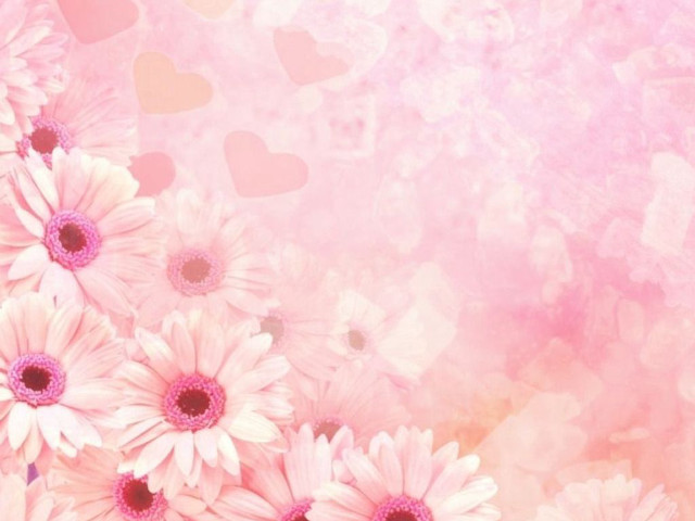 Pink background white flowers hearts free wallpaper - medium preview image