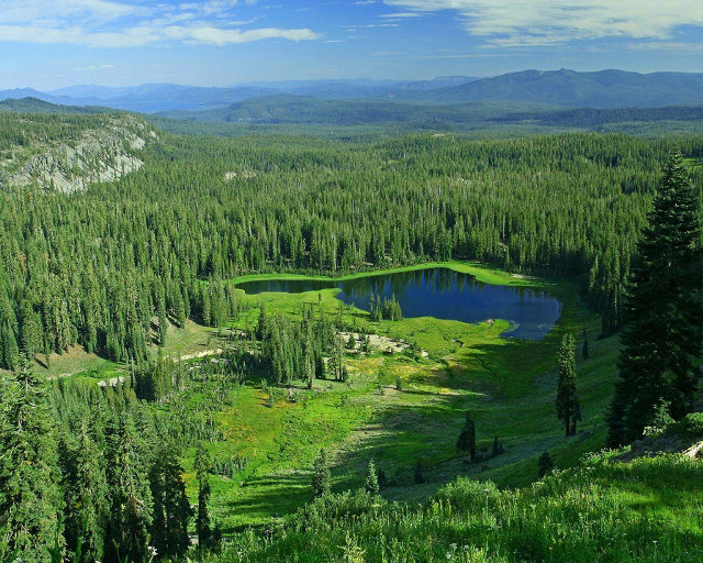 Lake forest trees mountains blue free wallpaper - medium preview image