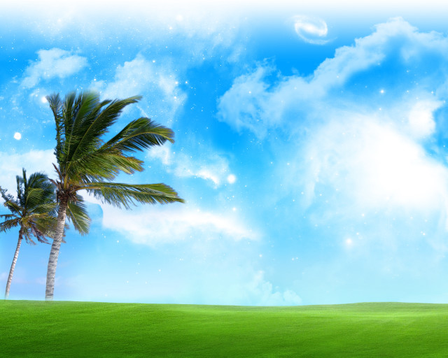 Palm tree grassy field blue free wallpaper - medium preview image