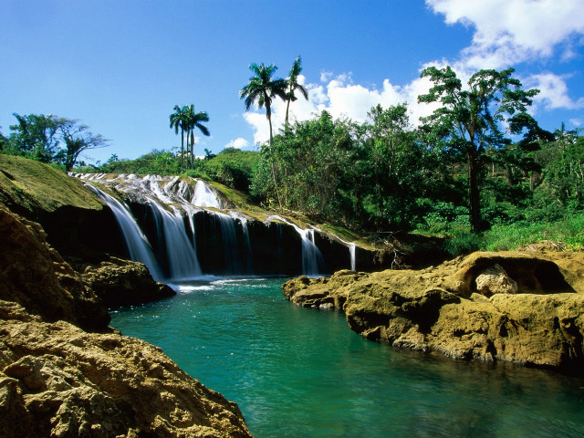 Tropical waterfall cascade palm trees free wallpaper - medium preview image