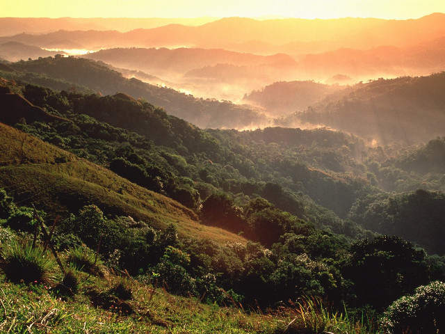 Valley trees hills background scenery free wallpaper - medium preview image