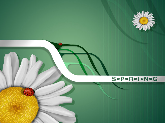 White flower ladybug green background free wallpaper - medium preview image