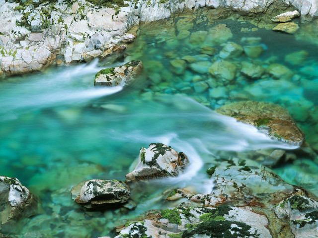 River forest moss rocks blue free wallpaper - medium preview image