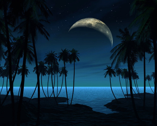 Full moon tropical island night #3 free wallpaper - medium preview image