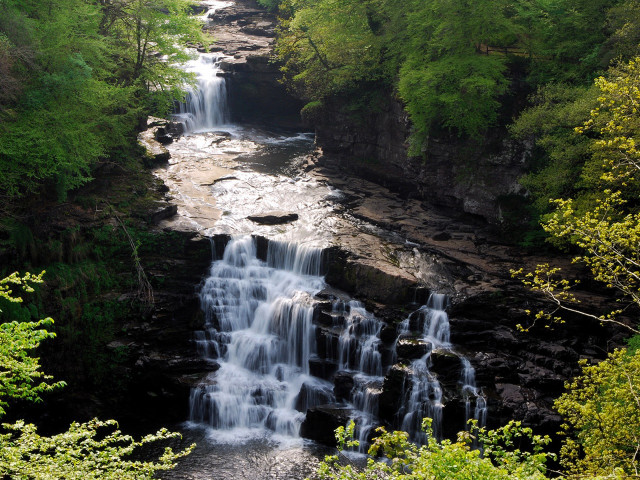 Waterfall forest trees bench nature #3 free wallpaper - medium preview image