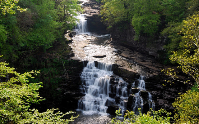 Waterfall forest trees bench nature #7 free wallpaper - medium preview image